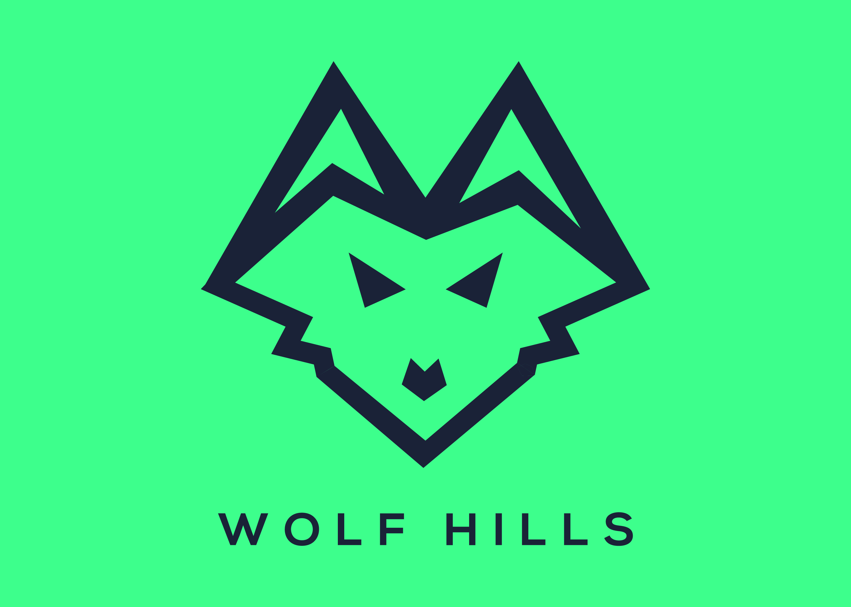 Logo Design